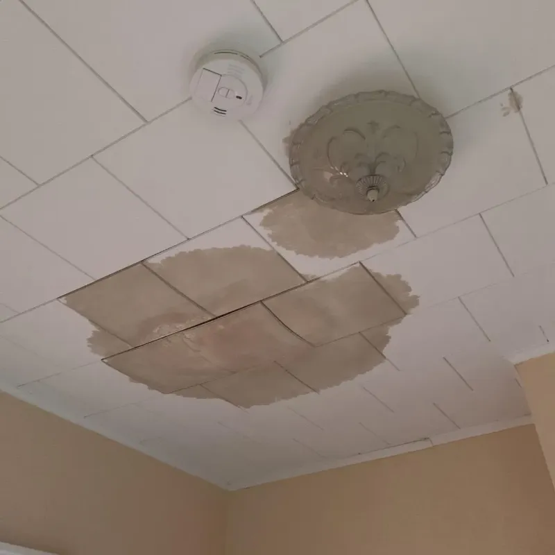 Ceiling Water Damage Repair in New Albany, MS
