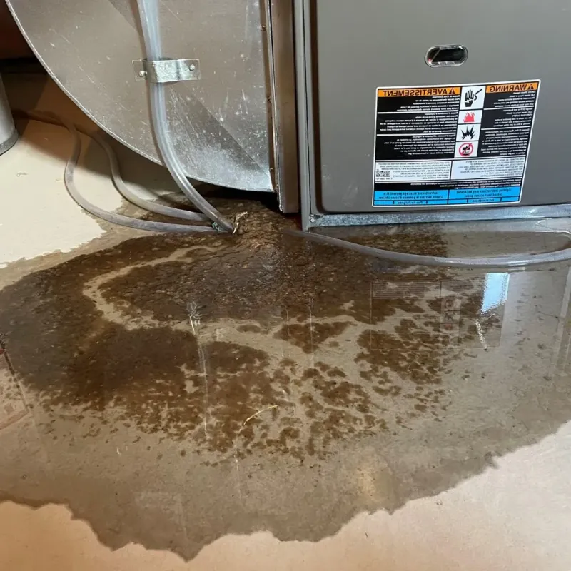 Pipe Burst and Leak Restoration in New Albany, MS