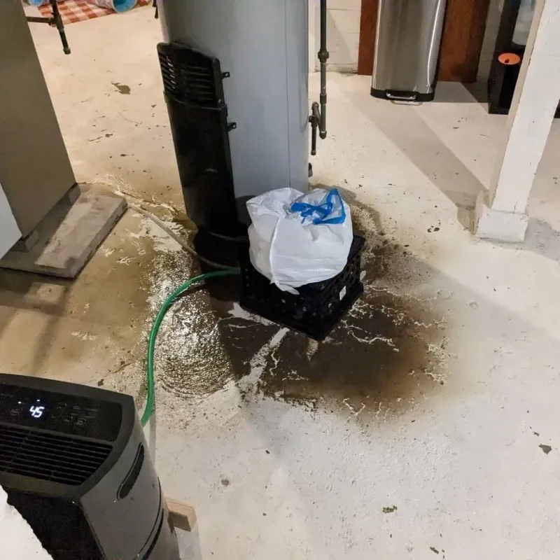 Sewage Backup Cleanup Service in New Albany, MS